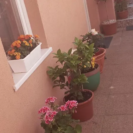 Erna * Zalakaros