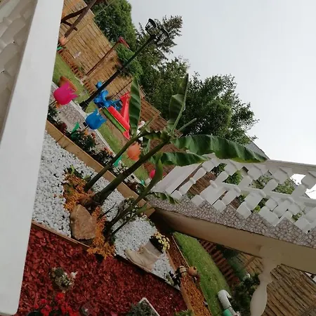 Apartman Erna *